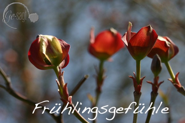 Frühling